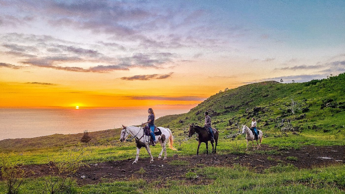 Beautiful scenic view of nature